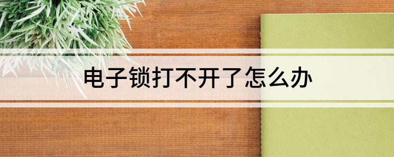 AG真人电子锁打不开了怎么办