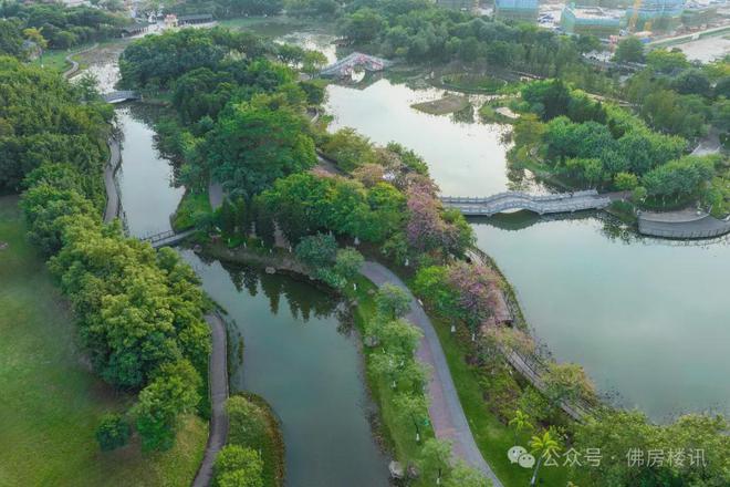 AG真人2024东建映月湖壹号-东建映月湖壹号售楼处电话-特价房房源户型(图3)